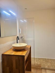 La salle de bains est pourvue d'un lavabo et d'une douche en verre. dans l'établissement Hôtel de la Mer, à Hyères