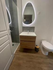 a bathroom with a sink and a toilet and a mirror at Chambre confortable avec une entrée indépendante - Parking & accès Lille facile in Marcq-en-Baroeul