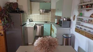 Elle comprend une petite cuisine avec des placards verts et un réfrigérateur. dans l'établissement Mistatos Häuser "Fabrica", à Pévkoi