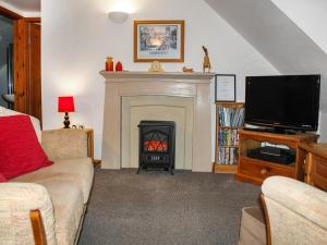 een woonkamer met een open haard en een televisie bij Iris Apartment in Stalham