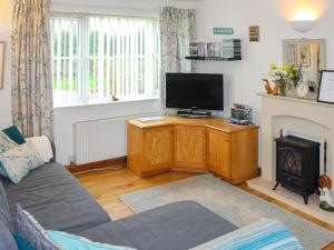 a living room with a couch and a tv and a fireplace at Daisy Apartment in Stalham