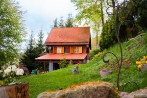 a small house with a red roof on a hill at Ferienhaus Sonnenblick Entspannung mit Sauna Kamin und Balkon in Sonneberg +14 photos