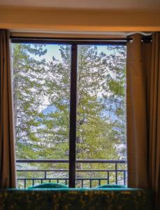 a window with a view of a tree at Lemon Lodges By Roomy, Nathiagali in Nathia Gali