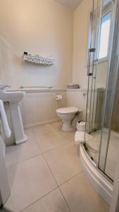 a bathroom with a toilet and a glass shower at Ardawn House in Galway