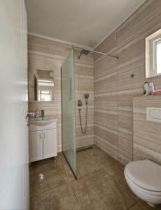 ein Badezimmer mit Dusche, Toilette und Waschbecken in der Unterkunft Apartman NENA 102 in Mostar