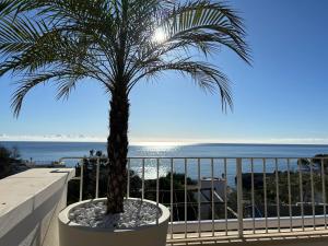 a palm tree in a pot on a balcony with the ocean at Cottage Vittoria - Marina di Novaglie in Gagliano del Capo