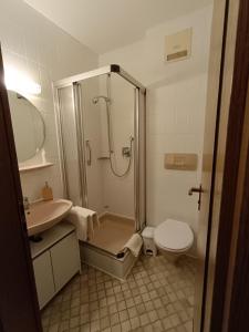 a bathroom with a shower and a sink and a toilet at Landgasthof Heldenberg in Nenningen