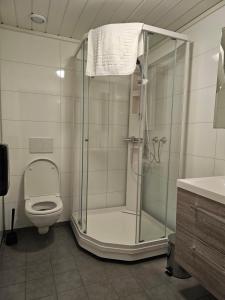 łazienka z prysznicem i toaletą w obiekcie Salteriet w mieście Å