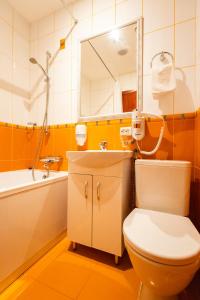 bagno con servizi igienici, lavandino e specchio di Hotel Medūna a Druskininkai