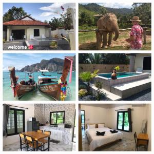 Příroda nedaleko prázdninového domu