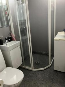 ein Bad mit einer Dusche, einem WC und einem Waschbecken in der Unterkunft Koselig, nyoppusset leilighet in Gjøvik