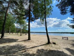 A beach at or near the holiday home