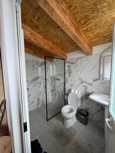 a bathroom with a toilet and a sink at Xhaferri Guesthouse in Çorovodë +37 photos