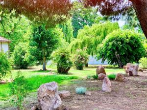 Gallery image of Campo Vecchio Sole et Piscine in Ghisonaccia