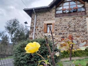 Ogród w obiekcie Urrezko Ametsa