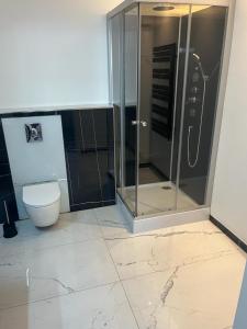 a bathroom with a shower and a toilet at Eisenstrassen Apartment in Ybbsitz