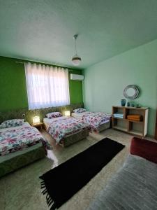 two beds in a room with green walls at The house of dreams 2 in Shkodër