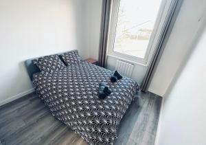 un chat noir assis sur un canapé dans une pièce dans l'établissement T2 moderne et neuf à 5 min de Lille-Centre, à La Madeleine
