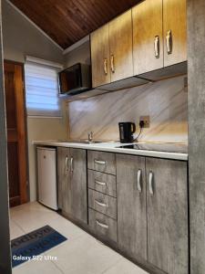 una cocina con armarios de acero inoxidable y fregadero en Aurora Inn Clarens, en Clarens