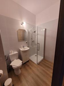 a bathroom with a shower and a toilet and a sink at Dworek Sobieskiego in Skierniewice