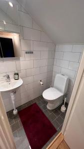 a bathroom with a toilet and a sink at Perfect winterhouse in Sälen in Sälen