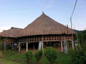 Cabaña grande con techo de paja en Hospedaje Agroturismo Wounaan, en Pidiaque