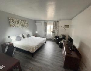 1 dormitorio con cama, sofá y TV en Rainbow Mountain Resort - LGBTQ Friendly, en East Stroudsburg