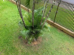 Imagem da galeria de Apartamento em vila Industrial Bloco 03 Ap 202 em Toledo