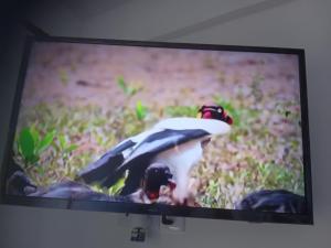 a television with two birds on the screen at Ella Rawana Den Hotel in Ella