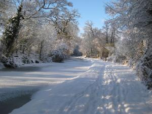 a road covered in snow with trees on it at Captains Lookout (Studio apartment) in Brecon