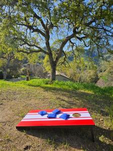 uma mesa vermelha branca e azul na relva em 4 Miles to Sequoia NTL Park em Three Rivers