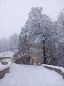 drzewo pokryte śniegiem przed budynkiem w obiekcie Casa Barbara w mieście Limone Piemonte