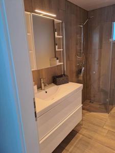 a bathroom with a sink and a shower and a mirror at Nýlegur sumarbústaður/friðsæld in Mosfellsbær