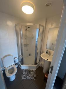 a bathroom with a shower and a toilet and a sink at EEJs Beautiful 2 bed Apartment - Sheffield centre in Sheffield