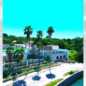 - Vistas a una casa con palmeras y al océano en Oceanfront Condo w/ FREE Parking + High Speed Wifi, en Negril