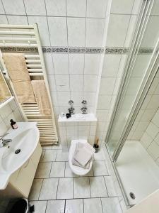 a bathroom with a shower toilet and a sink at Inselliebe Norderney in Norderney