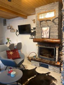 a living room with a fireplace and a tv at Chalet Husky-Private, Cozy, Firelit Moments in Şotrile