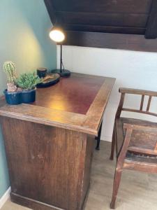 einem Holztisch mit einem Stuhl und einer Pflanze darauf in der Unterkunft Wohnen im Grünen bei der Töpferei in Erfurt