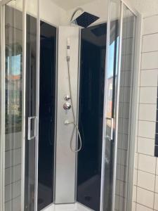 ein Bad mit einer Dusche und einer Glastür in der Unterkunft Wohnen im Grünen bei der Töpferei in Erfurt