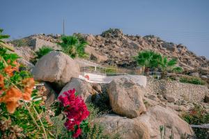 a staircase on a rocky hill with flowers at Super Rockies Resort in Super Paradise Beach