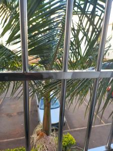 a palm tree is seen through a window at Experience Nairobi in Nairobi