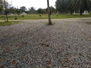 a large pile of rocks next to a palm tree at Tamu Chalet in Kuantan