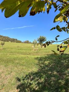 een veld van groen gras met een blauwe lucht bij Nádherné místo pro váš relax v přírodě in Uherské Hradiště