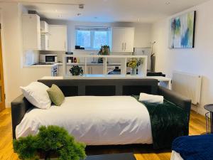1 dormitorio con 1 cama grande y cocina en Gorgeous one bed room flat in central London en Londres