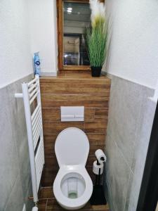 baño pequeño con aseo y ventana en Chata pod lesíkom, en Lazisko