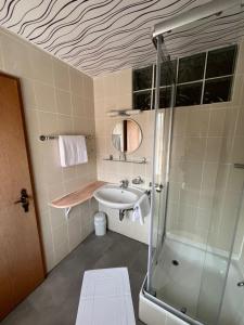 uma casa de banho com um chuveiro e um lavatório. em Pension Unterreichenbach em Schwabach