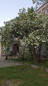 Gambar di galeri bagi Luse Guest House di Ijevan