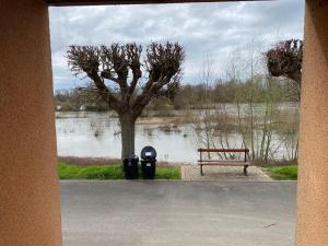 um banco e uma árvore ao lado de um lago em Locations de la centrale de Belleville em Neuvy-sur-Loire