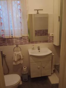 a bathroom with a sink and a toilet and a mirror at Casa - house Xavier una casa famigliare , dame entra solo Chi a un bel cuore , non'e il l'intero alloggio solo stanze e bagno in Turin