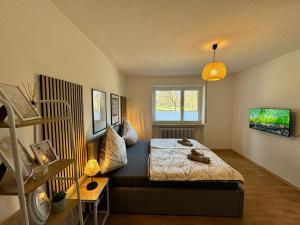 a bedroom with a bed and a window at Feel like Home 3 in Biberach an der Riß